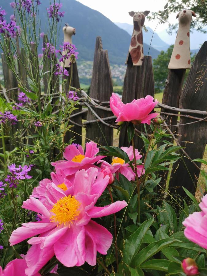 Wieserhof Tirol Oetz Bagian luar foto