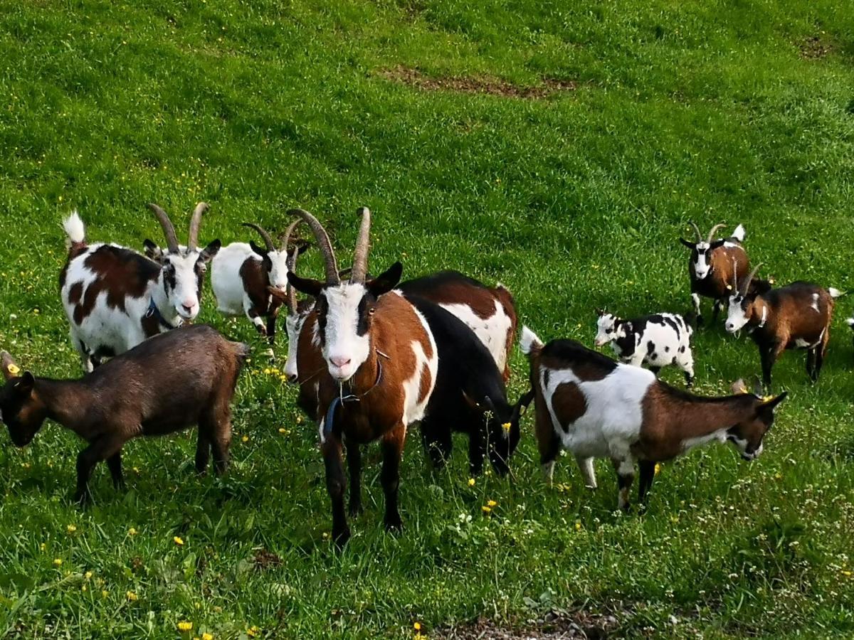 Wieserhof Tirol Oetz Bagian luar foto