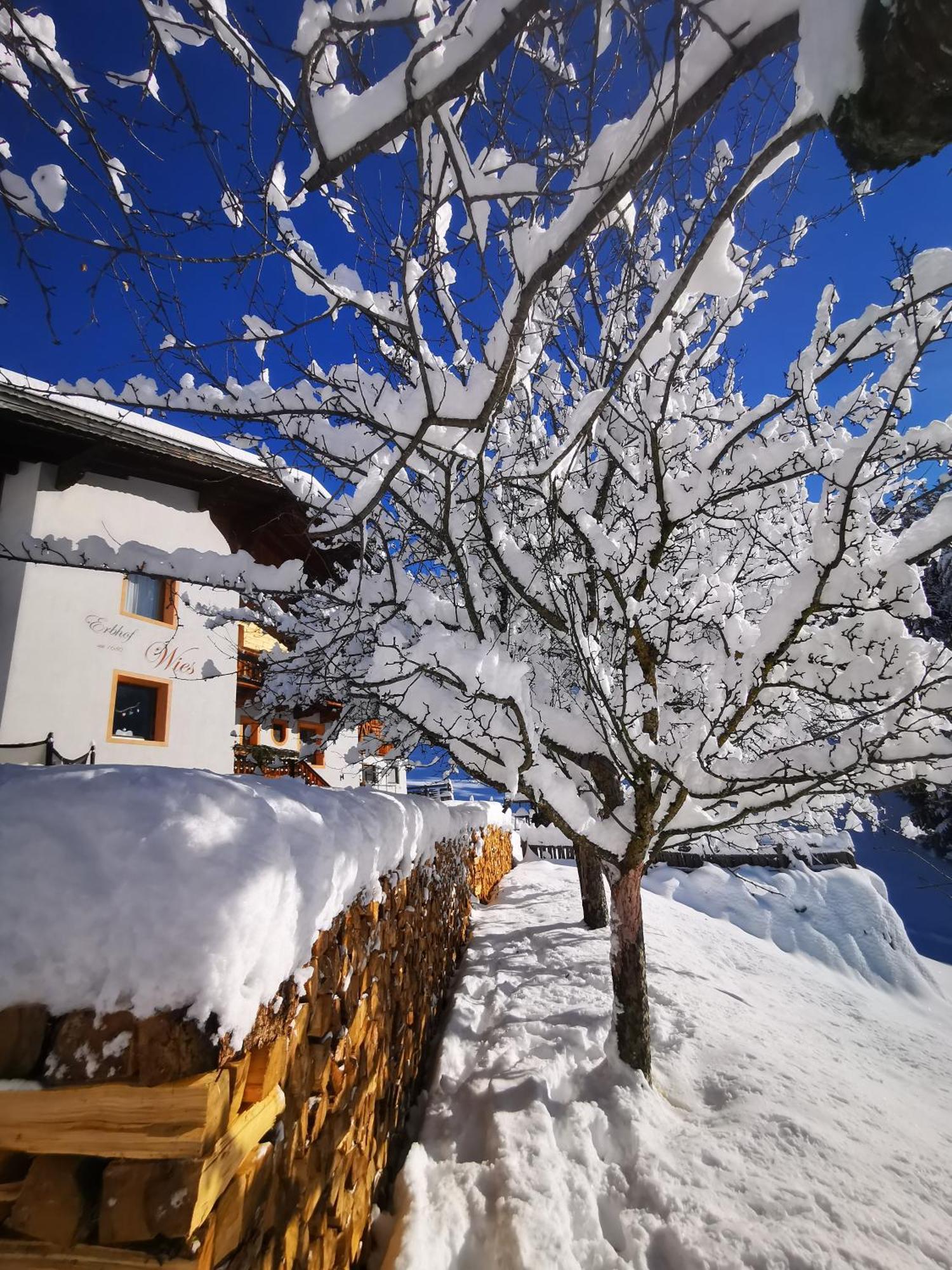 Wieserhof Tirol Oetz Bagian luar foto